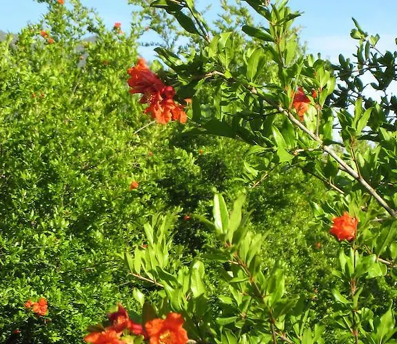 Готель типу 