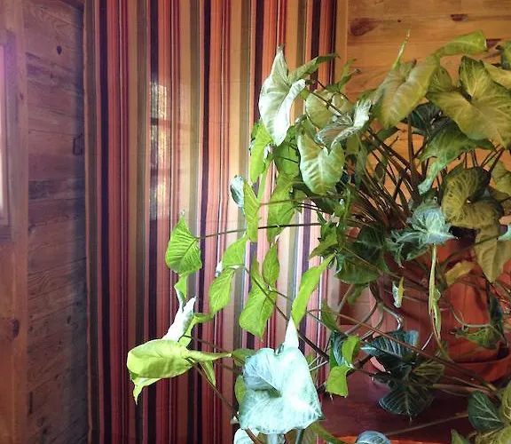 Narnia Готель типу 