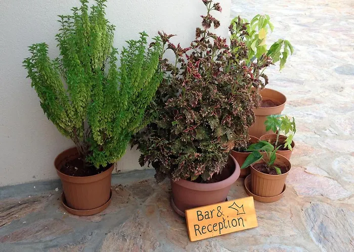 Alojamento de Acomodação e Pequeno-almoço Narnia