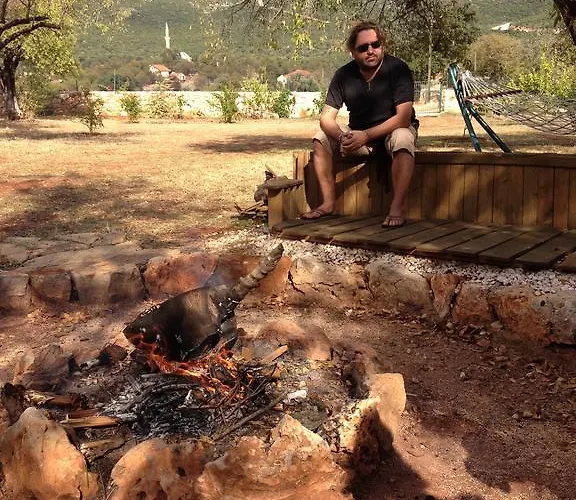 Narnia Alojamento de Acomodação e Pequeno-almoço